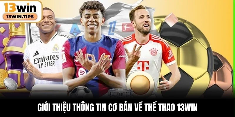 Giới thiệu thông tin cơ bản về thể thao 13WIN