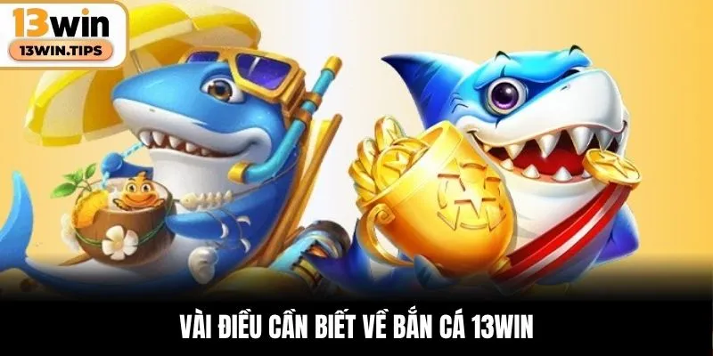 Vài điều cần biết về bắn cá 13WIN