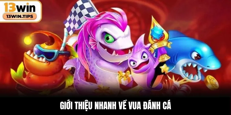 Giới thiệu nhanh về Vua Đánh Cá