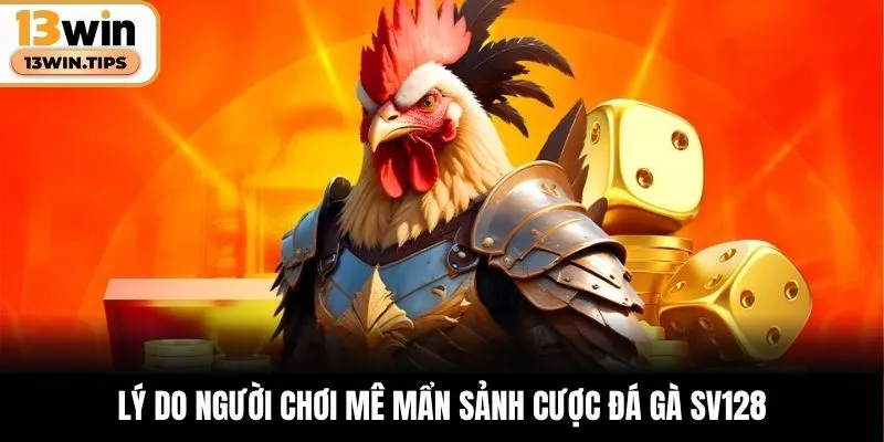 Lý do người chơi mê mẩn sảnh cược đá gà SV128